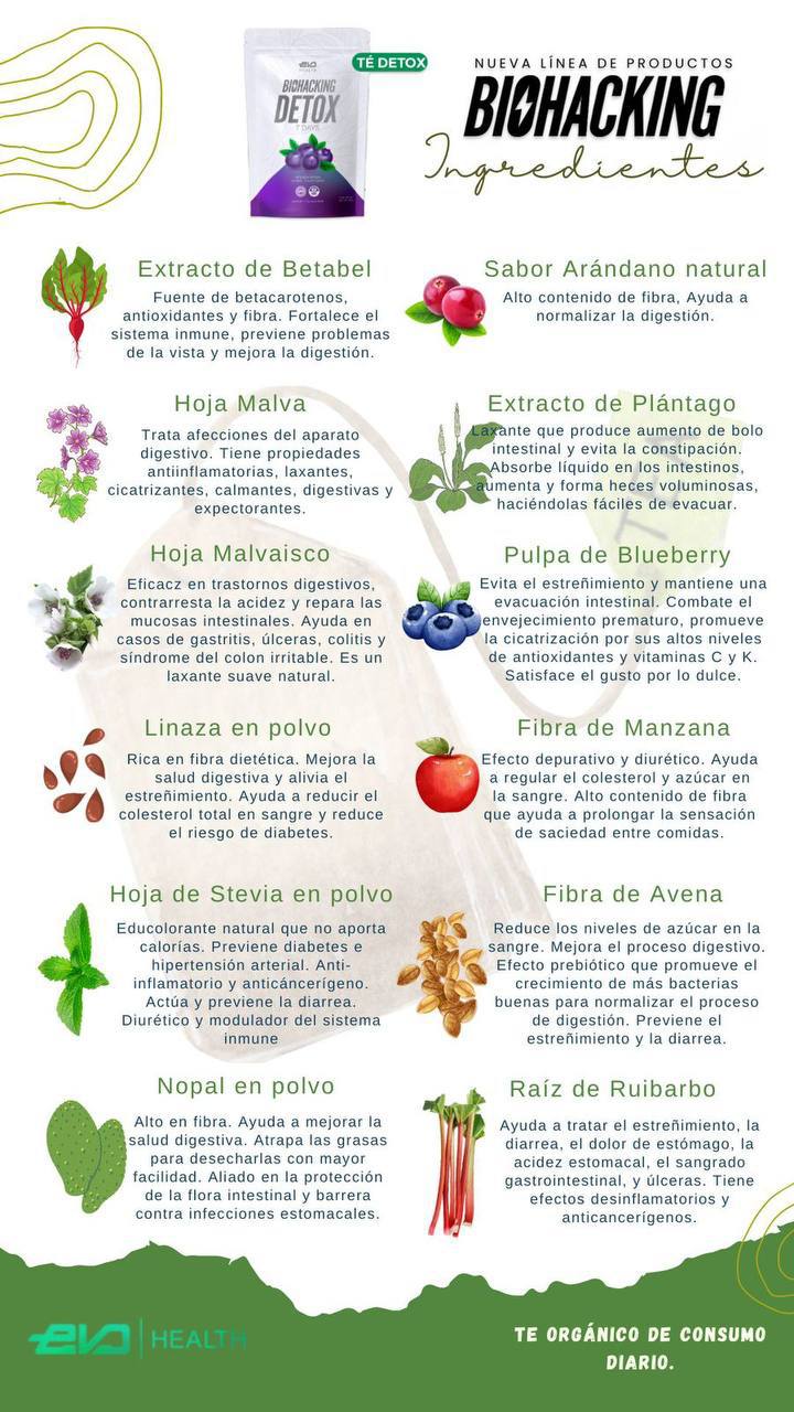 DETOX PARA SEIS SEMANAS